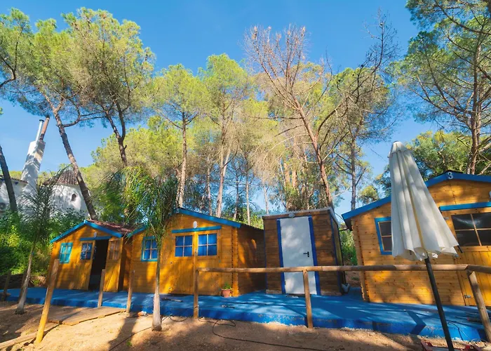 Zaluay - Habitaciones De Madera